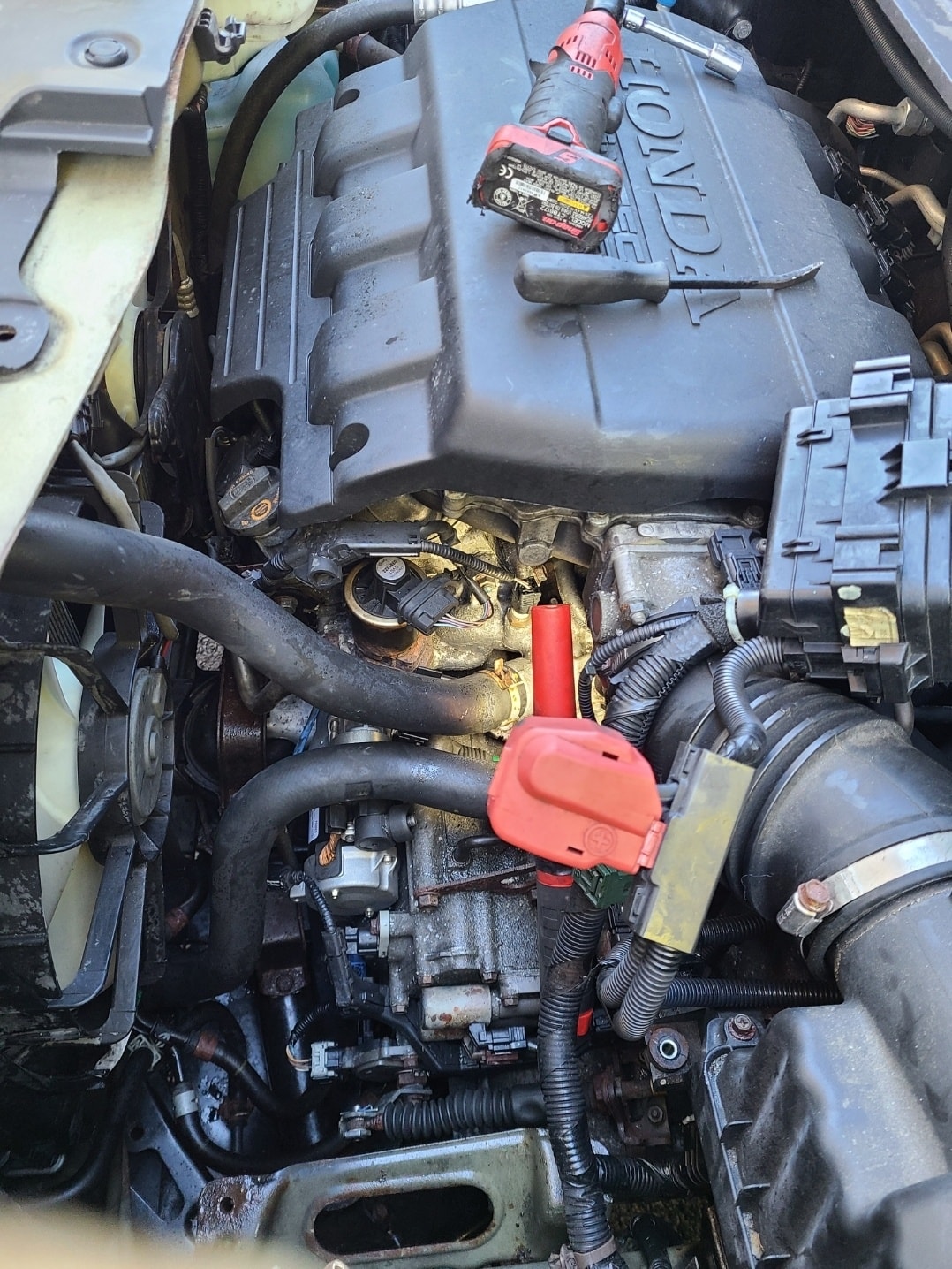 313401294_5771389976309480_6374764179197732720_n